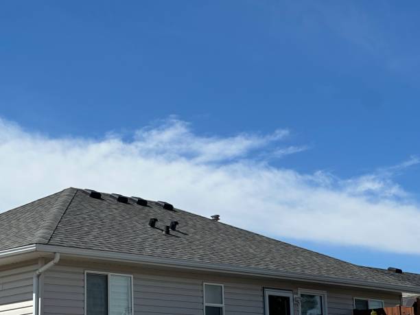 Best Roof Insulation Installation  in North Patchogue, NY